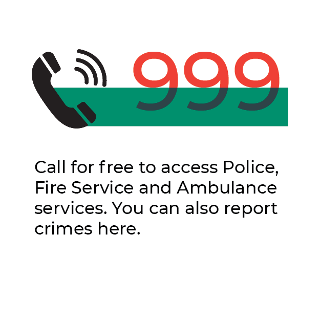 Bangladesh National Emergency Service